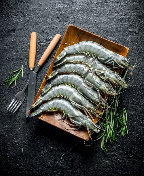 Can Cats Eat Raw Shrimp Is Raw Shrimp Safe For Cats 